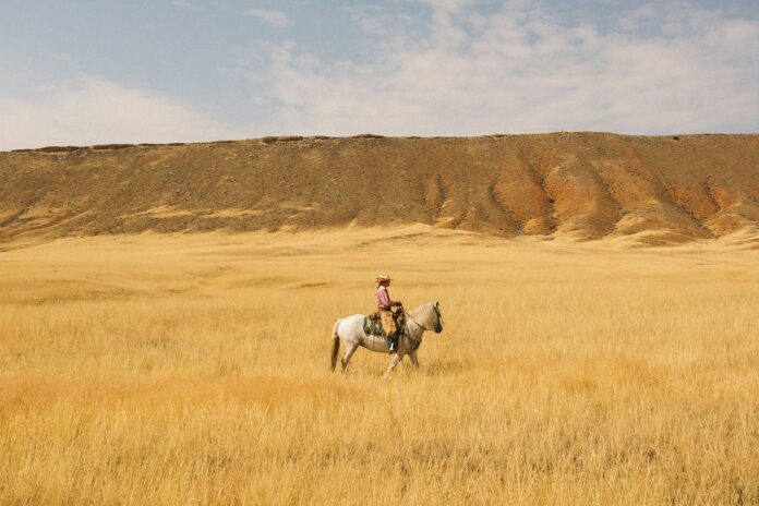 ranchlands-equestrian-escape