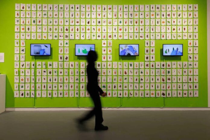 sense-of-natural-integrity