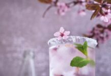 Sakura Season Is Brief – These Are the Drinks to Try While It Lasts