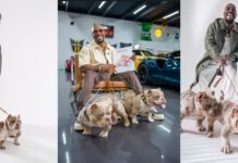 Demetrius A. Matthews Turns a Lifetime of Vision Into a Bold Cultural Statement With BULLY LIFESTYLE: A Maxima…