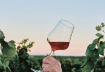 Americans Are Spending More Money on Wine Than Ever