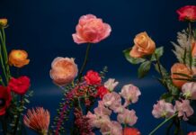The Insider Guide to Chelsea Beyond the Flower Show