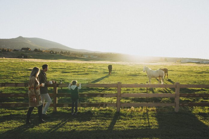 Front-Pasture-1-scaled