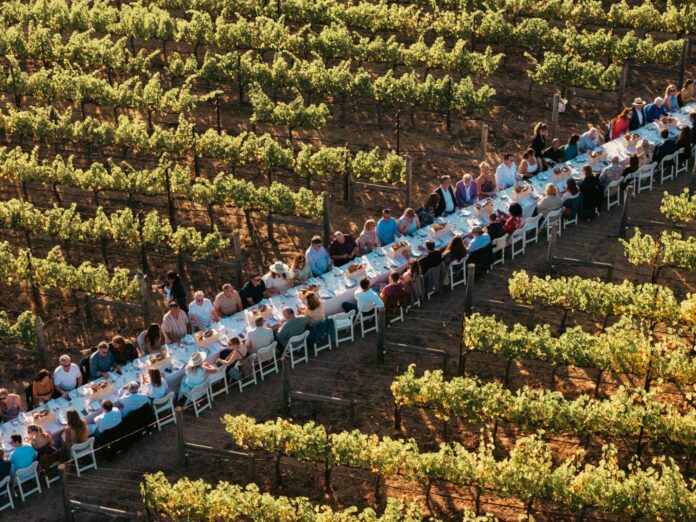 betweenthevines-121-2048x1536