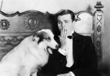 In Praise of Boredom