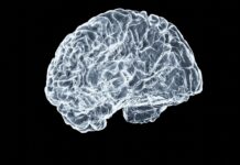 How to Boost Your Brain in 24 Hours, According to a Leading Neuroscientist