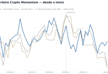 Essa carteira de criptomoedas superou desempenho do Bitcoin (BTC) mesmo no ‘bear market’; especialista explica o porquê