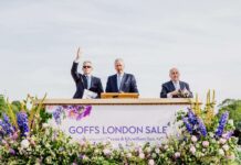 Inside Goffs London Sale, Royal Ascot’s Exclusive Pre-Race Event