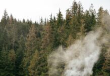 Scenic Saunas Around the World With A View
