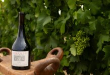 Cimento Wines Elevates Oregon’s Walla Walla Valley as America’s Next Luxury Wine Destination