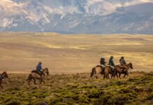 Inside Patagonia’s Toughest Horse Race Across the Wilderness – and the Man Behind It