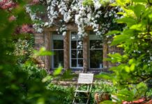 How to Keep Your Manicured Gardens Blooming During a Heatwave