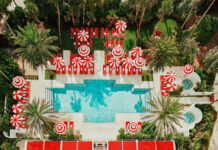 Rooms With a View: The Most Luxurious Waterfront Hotels in Miami